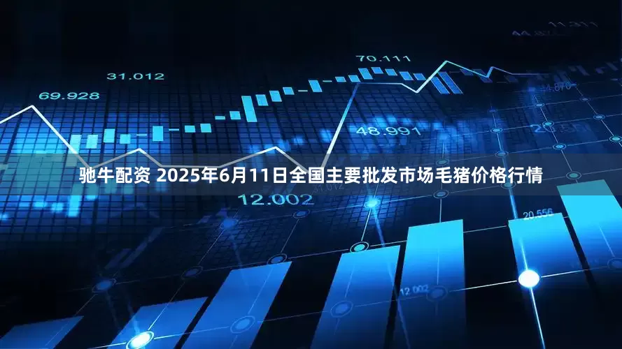 驰牛配资 2025年6月11日全国主要批发市场毛猪价格行情