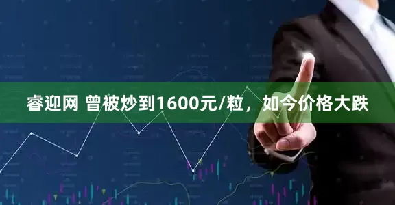 睿迎网 曾被炒到1600元/粒，如今价格大跌