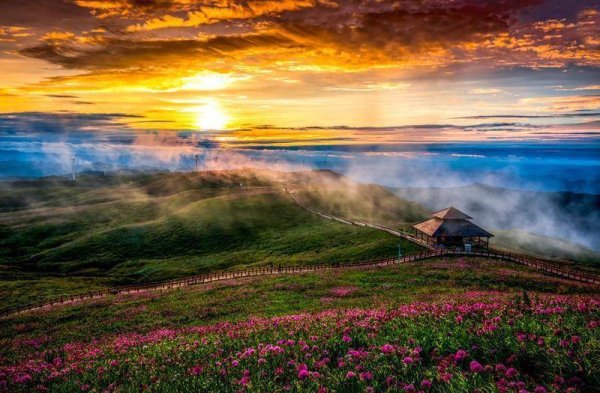 威贤配资 赫章：藏着十万亩紫色花海世界级奇观