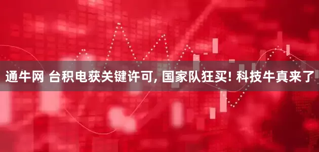 通牛网 台积电获关键许可, 国家队狂买! 科技牛真来了