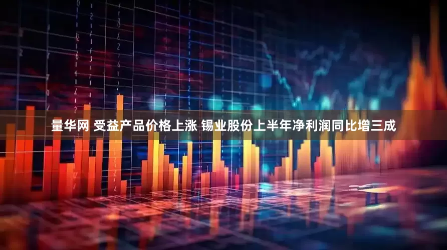 量华网 受益产品价格上涨 锡业股份上半年净利润同比增三成
